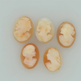 Lot of 5 unmounted Victorian shell cameos