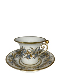 European Porcelain Hand Painted Cup & Saucer