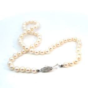 14K White Gold & Pearl Necklace