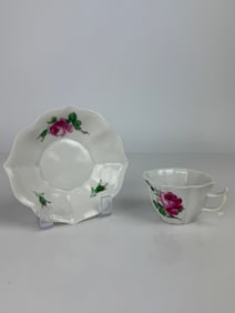 19th Century Meissen Porcelain Hand Painted cup & Saucer.