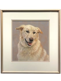 Pastel on Paper of a Labrador