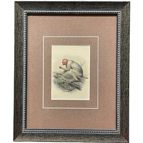 An Original Antique Monkey Print Circa 1887