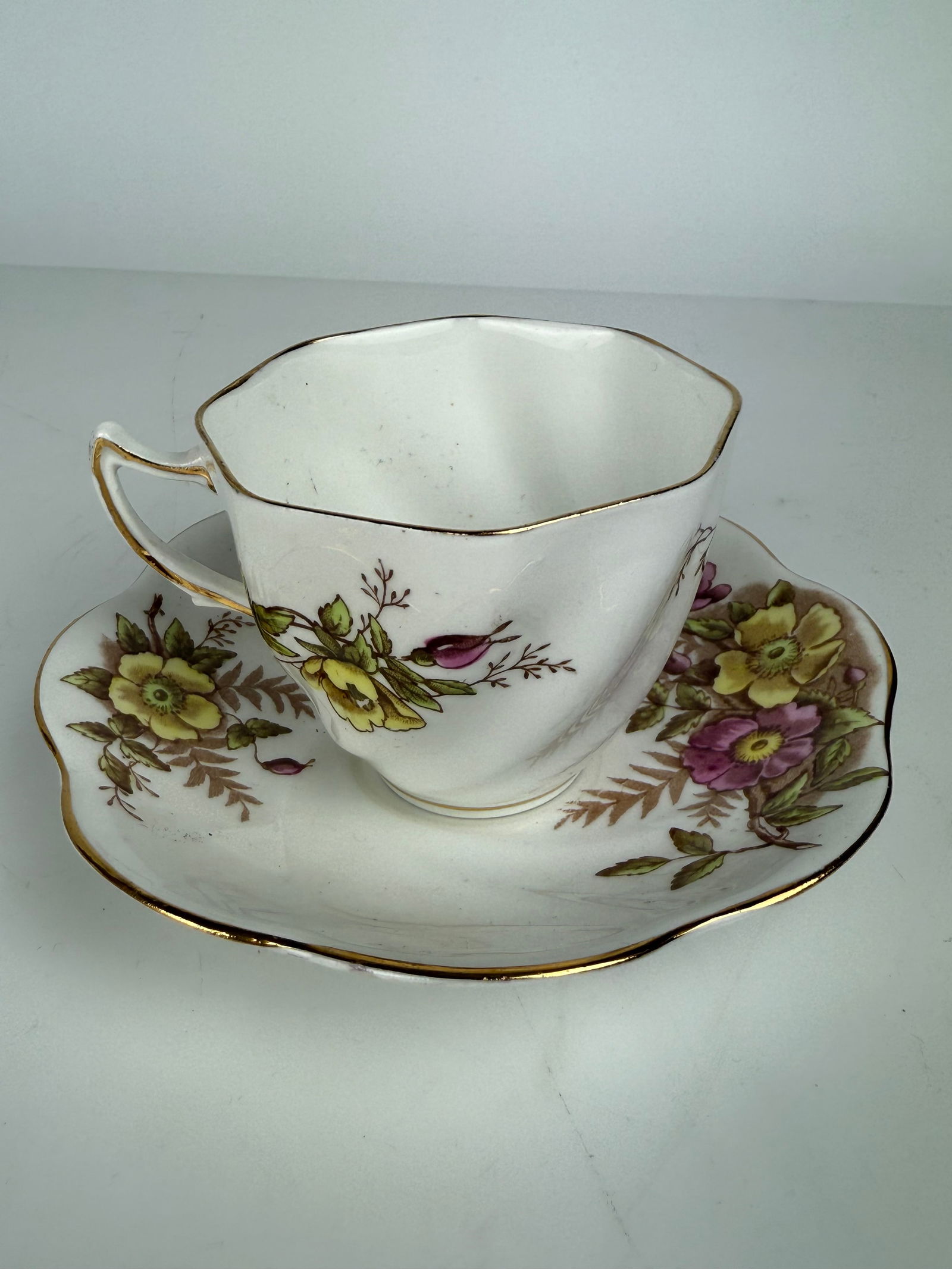 19th Century Rosina Porcelain Painted Cup & Saucer.: 19th Century Rosina Porcelain Painted Cup & Saucer. 5” x 3”