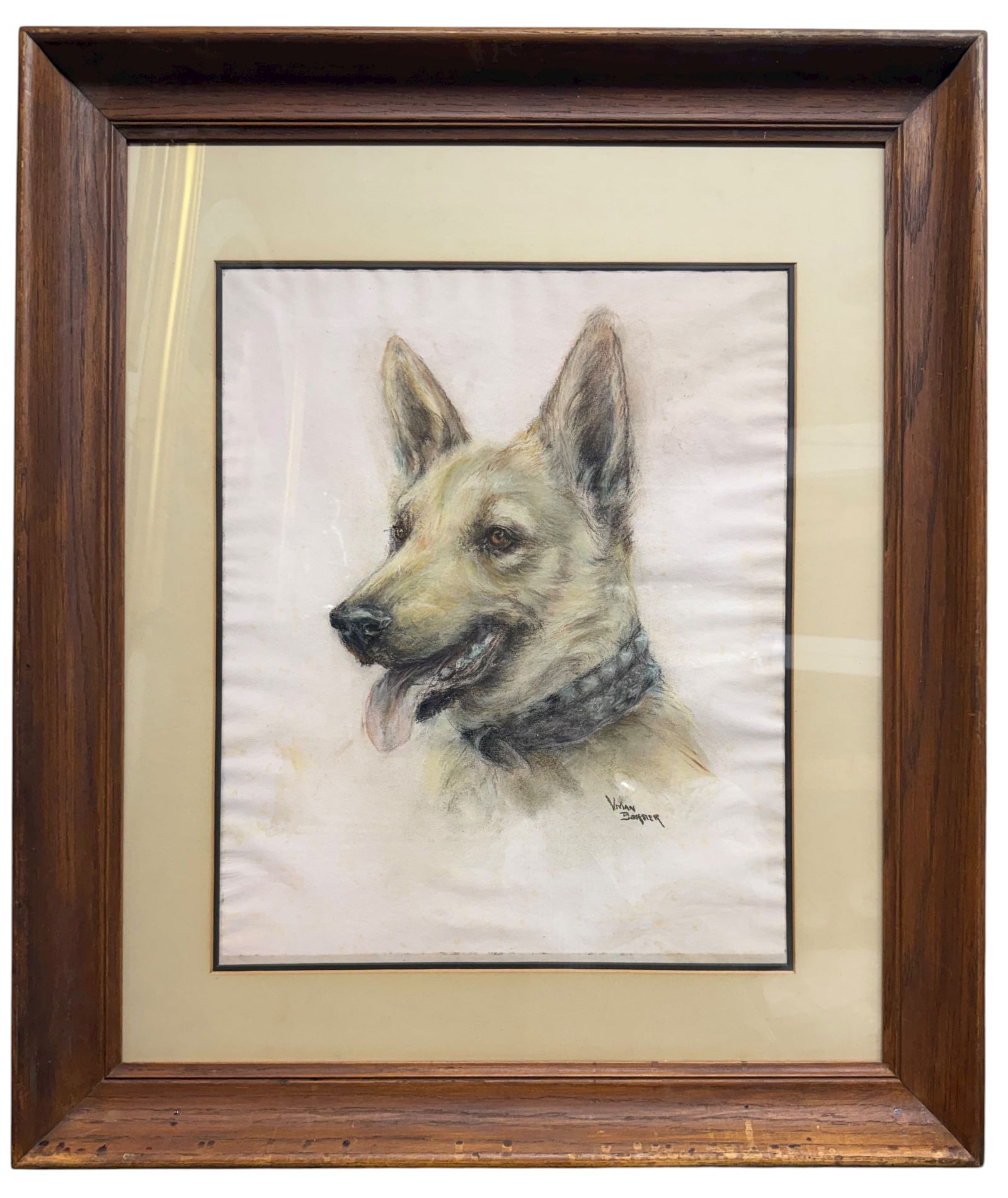 Very Large Pastel on Paper Painting Of Shepherd Dog: Very Large Pastel on Paper Painting Of Shepherd Dog. Singed By the Artist. 34"X29"