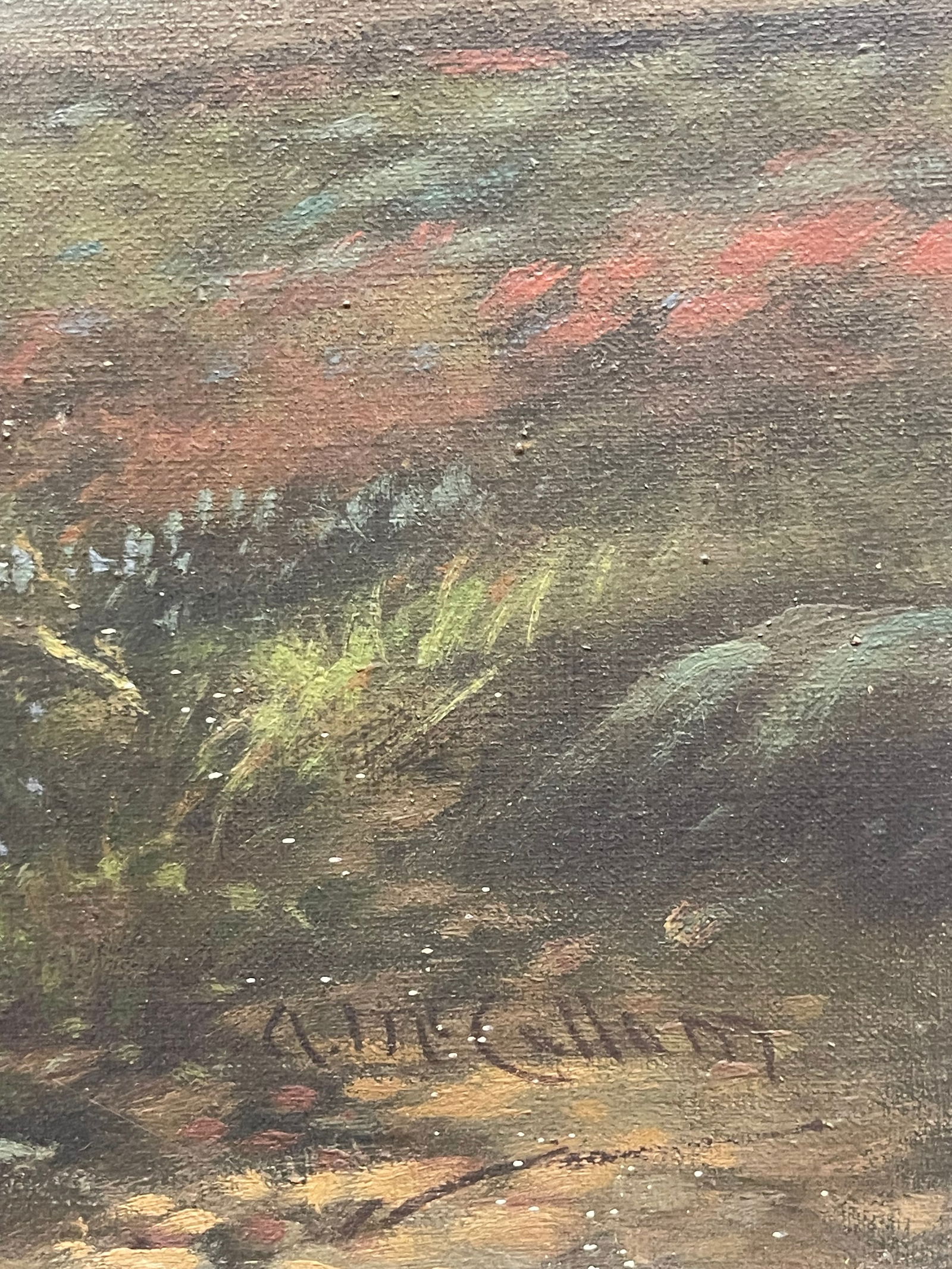 Andrew McCallum (1821-1902) - 4