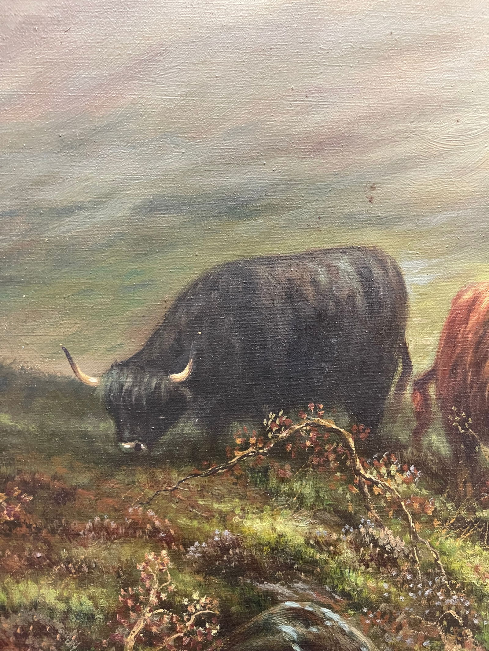 Andrew McCallum (1821-1902) - 7