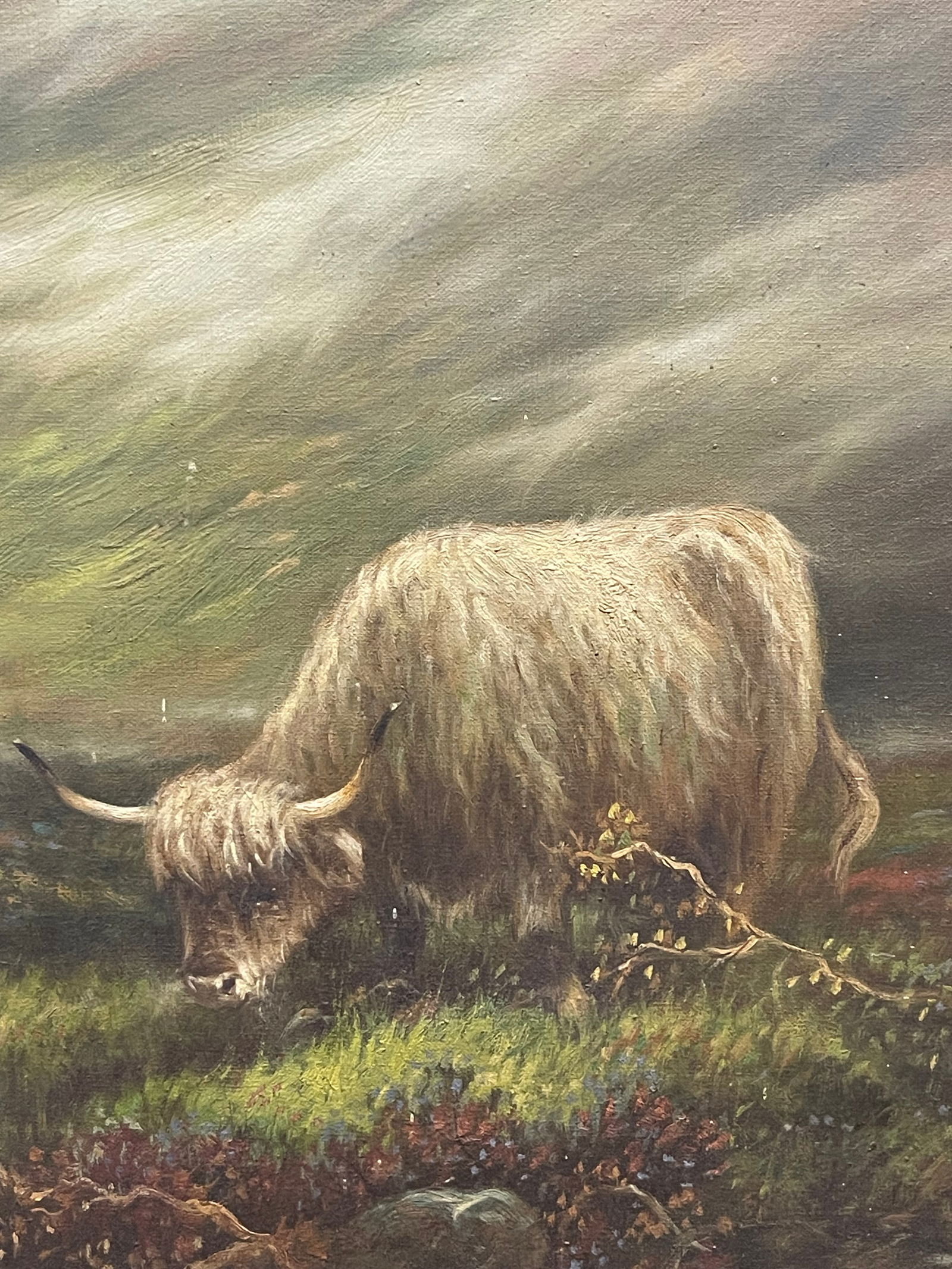 Andrew McCallum (1821-1902) - 3