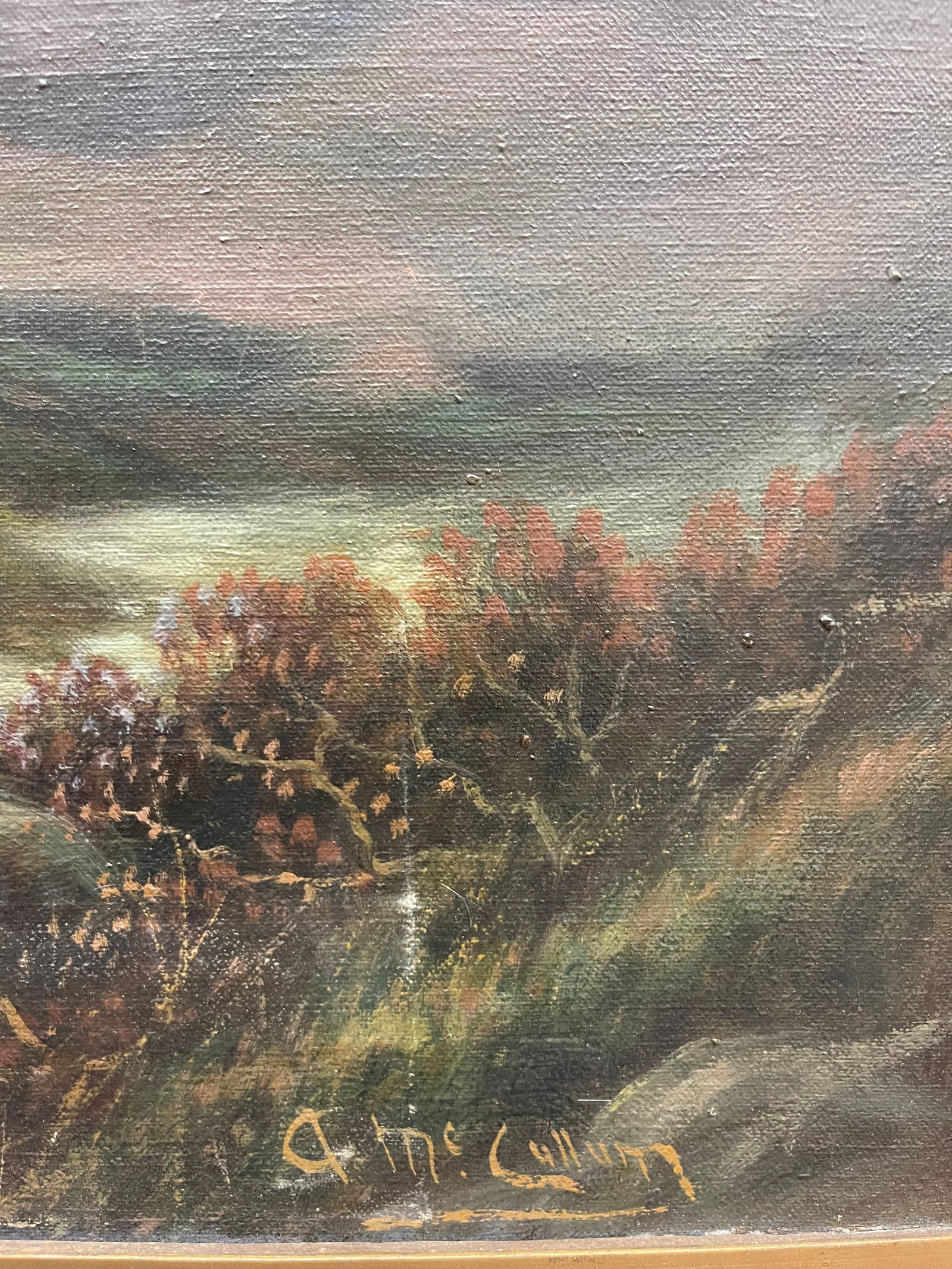 Andrew McCallum (1821-1902) - 8