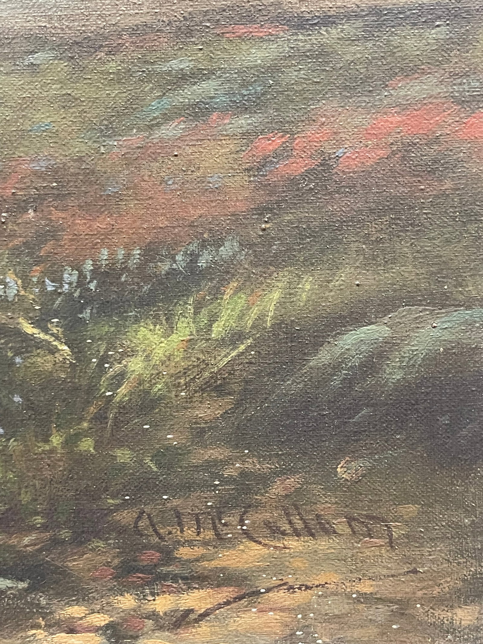 Andrew McCallum (1821-1902) - 4