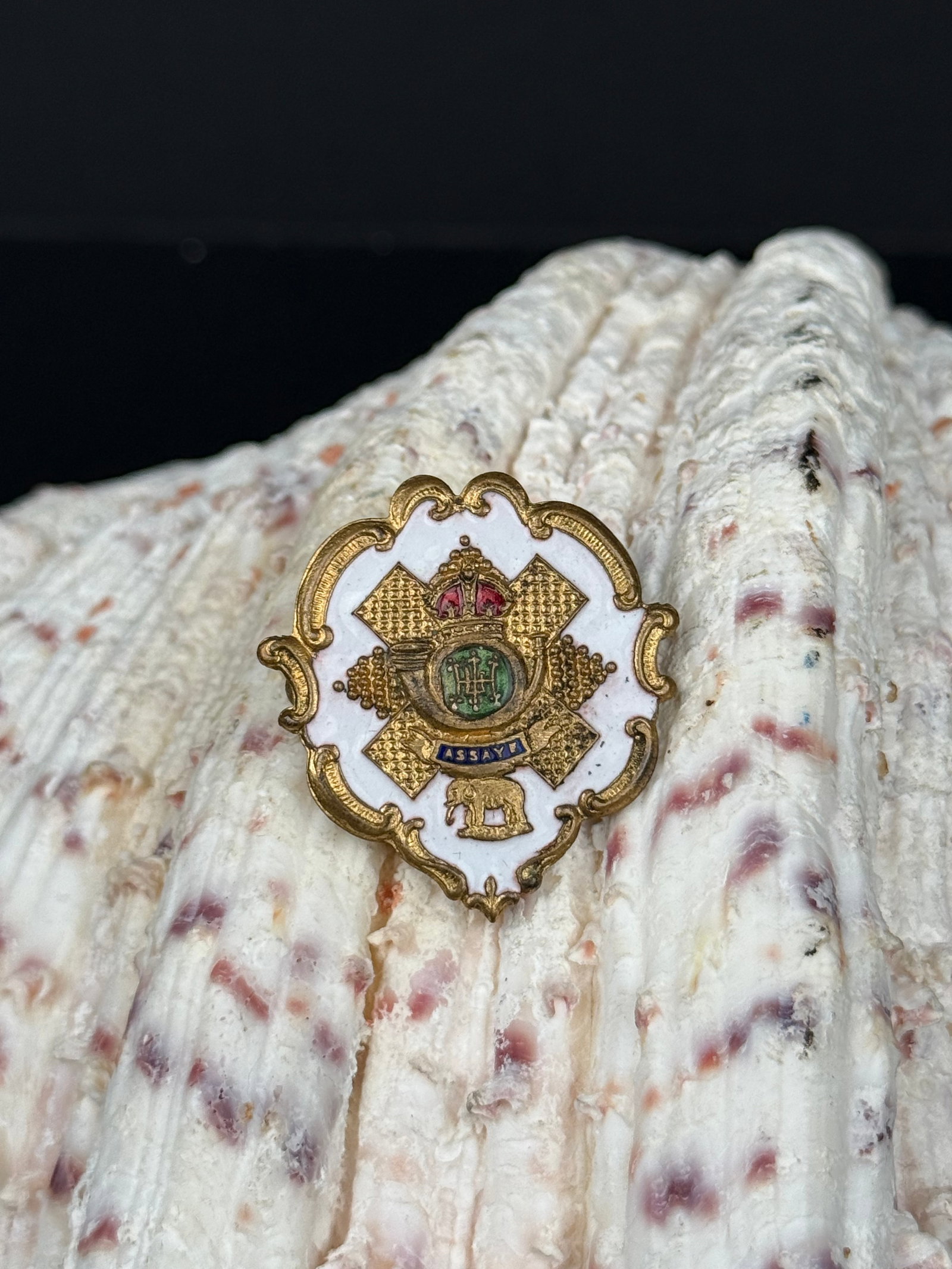 An Enameled Military Pin: An Enameled Military Pin