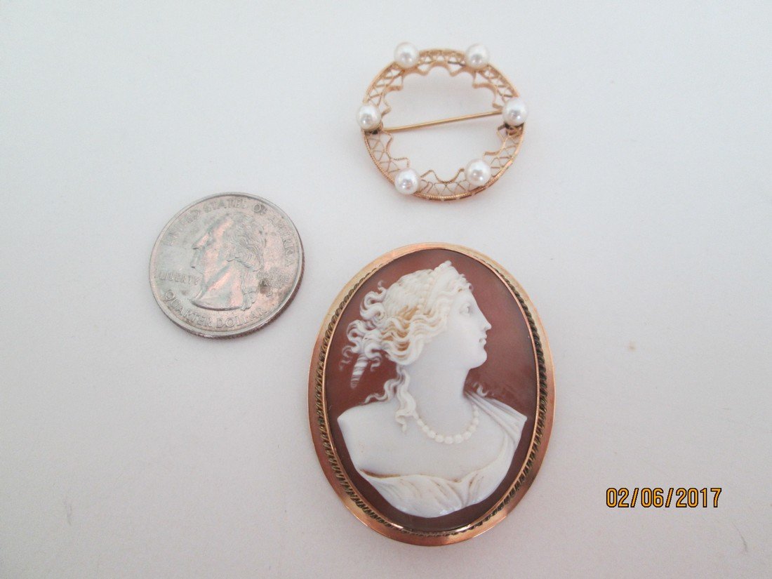 14kt pin & cameo (1 of 2)