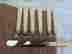 item-51884893=2