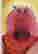 item-133479481=1