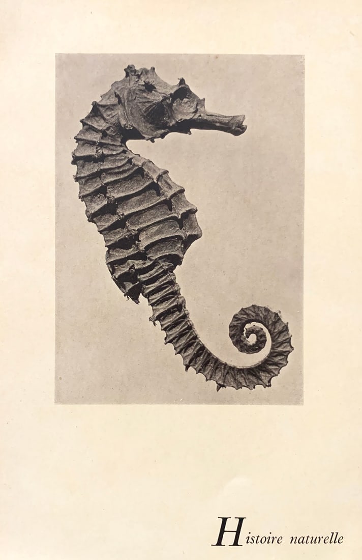 Man Ray. La photographie n’est pas de l' art. 1937.: Editions GLM, Paris 1937. Man Ray, Andre Breton. Portfolio book, presenting the combined work of Andre Breton and Man ray. The portfolio, loose as issued, includes twelve sheets of photo-toned reprodu