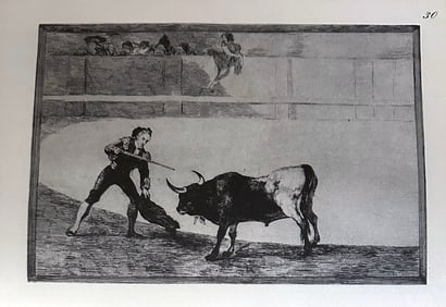 The Complete Etchings of Goya.