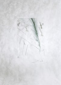 Original signed and numbered drypoint by Salvador Dali, 1968.