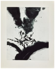 Zao-Wou-ki. Dans les provinces du Nord. With an aquatint,1990