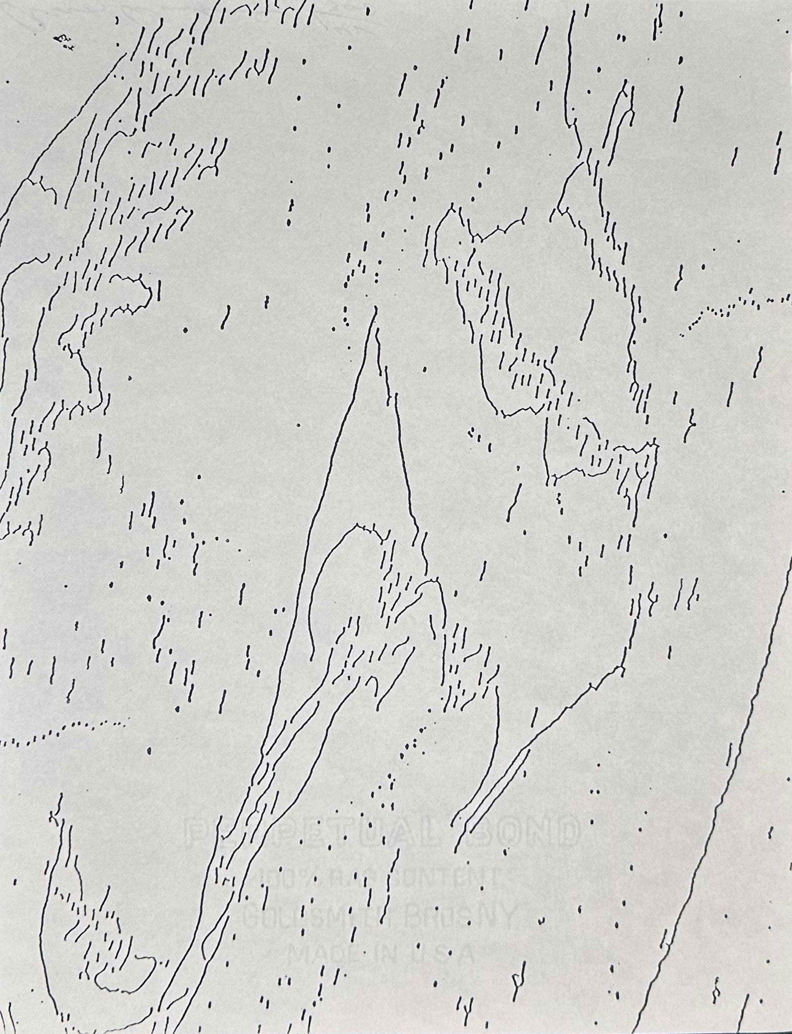 Andy Warhol. MAO signed print. 1973. One of 300 copies. (1 of 3)