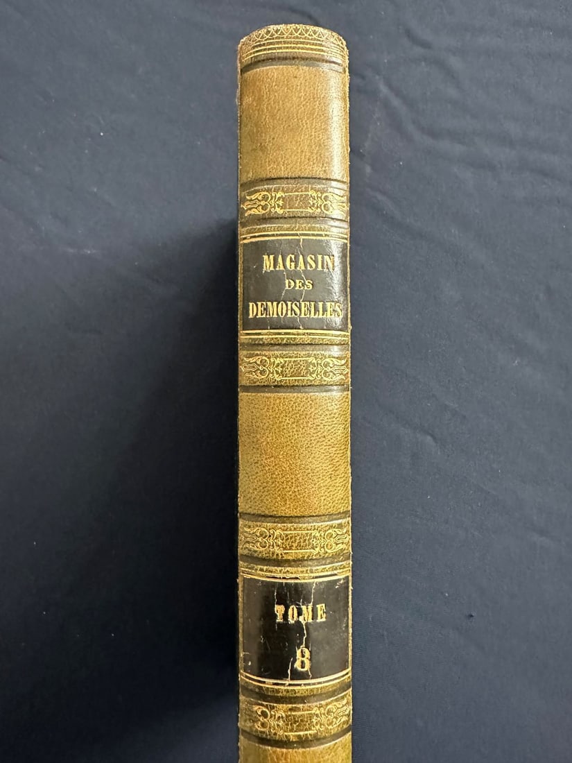 Magasin des Demoiselles. 1851-1852. Tome 8ème: Morale, Histoire ancienne et modern, Sciences, Economie domestique, Littérature, Beaux-Arts, Voyages, Récréations, Biographie, Petit Courrier des Demoiselles. Published by