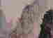 item-53065124=4