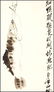 A CHINESE FRAMED PAINTING (ATTRIBUTED TO QI BAISHI) - 3