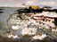 Attributed to Wu Guanzhong (OIL PAINTING)