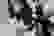 item-61869532=7