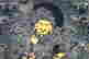 item-63400964=2