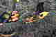 item-63400964=5