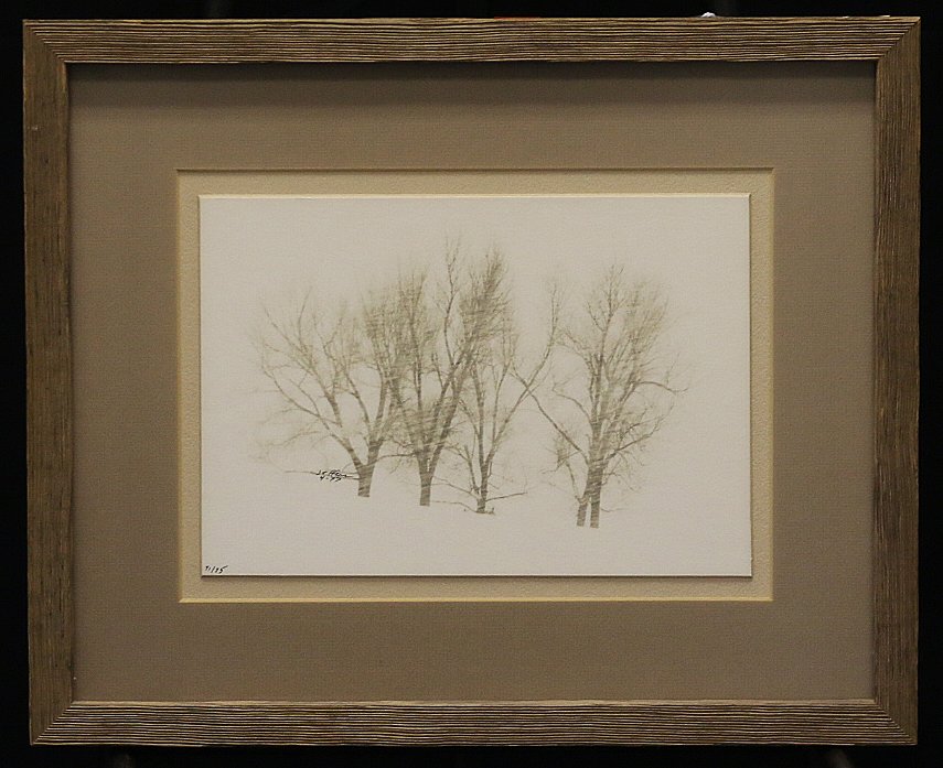 Winter Trees In Snow by Jack Jeffers (1 of 4)