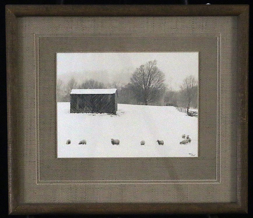 Sheep In Snow by Jack Jeffers (1969-2011) (1 of 6)