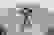 item-55064680=4