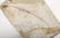Group Fossils in Matrix Trilobites Flying Dragon Lizard - 5
