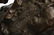 Remington Bronze Sculpture Mountain Man - 5