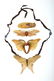 Group Art Nouveau Carved Horn Jewelry Necklace + Pins