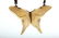 Group Art Nouveau Carved Horn Jewelry Necklace + Pins - 2