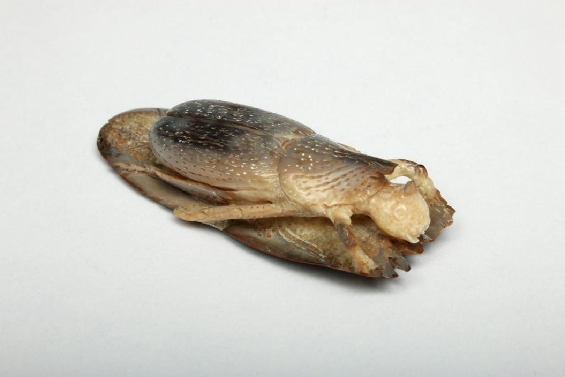 Japanese Petrified Wood Beetle Netsuke: Vintage Japanese bone netsuke figure of a beetle. .625 in. H x 2.5 in. W x 1 in. D.