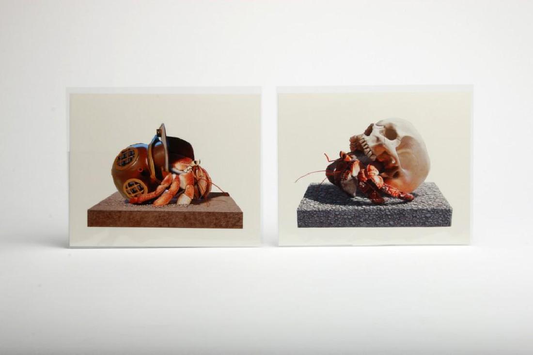 Two Josh Keyes 2014 The Hermit Migratory Soul Prints (1 of 6)