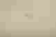 item-78578848=2