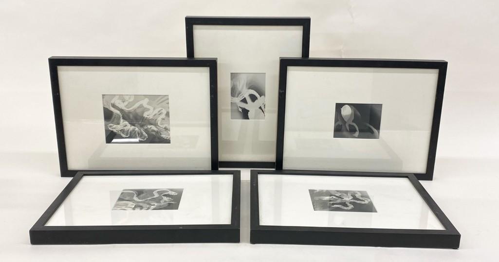 Group of 5 Jan Lawry Singer Photograph on Photo Paper: Jan Lawry Singer Photograph on Photo Paper Group of Five (5). Visible: approx. 5 in. x 4 in. to 7 in. x 5.5 in. Overall: approx. 13 in. x 17 in. x 1.25 in. Weight: 14 lbs 13 oz.