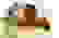 item-105032978=6