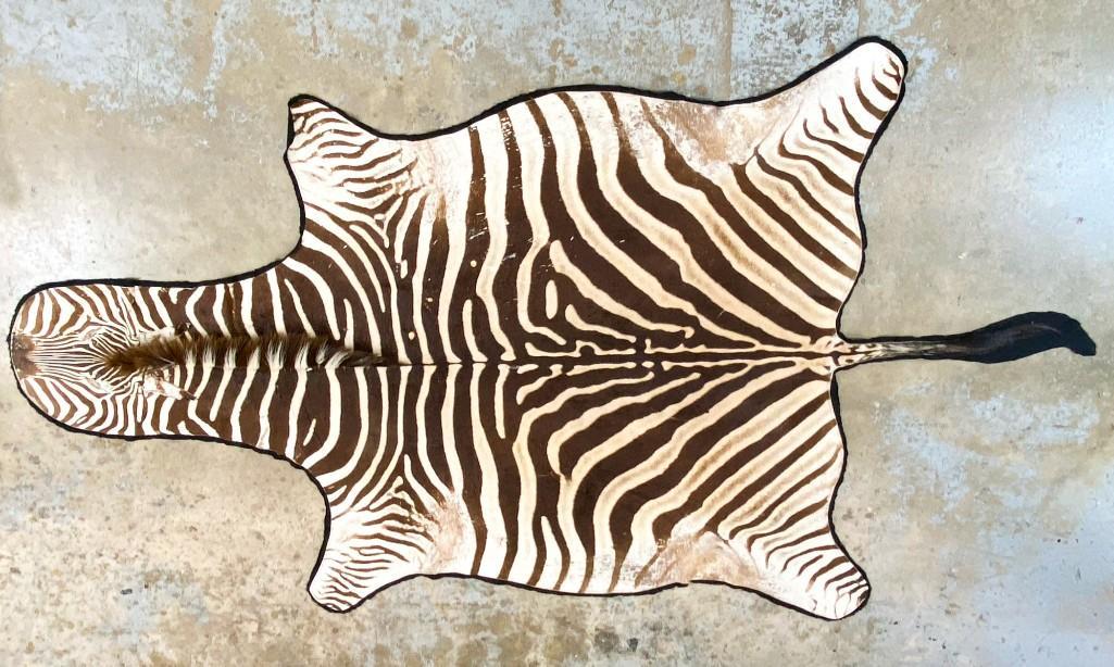 Zebra Hide Rug (1 of 12)