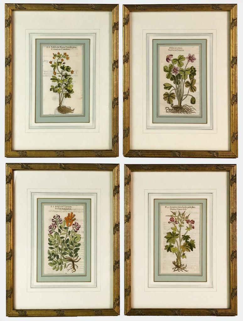 Set of 4 Botanical Framed Prints (1 of 4)