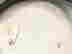 item-114213414=5