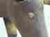 item-120904463=3