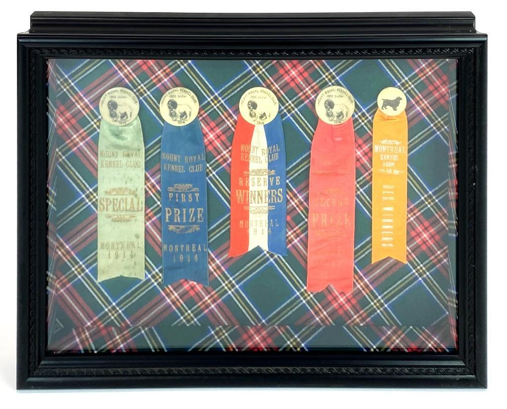 Set of 5 1914 Framed Mount Royal Dog Show Medals (1 of 8)