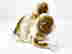 item-120904575=2