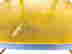item-120904588=3