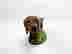 item-120904695=2