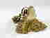 item-135277017=8
